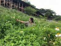 อ่างเก็บน้ำเขื่อนลำปาว 🍃🌳