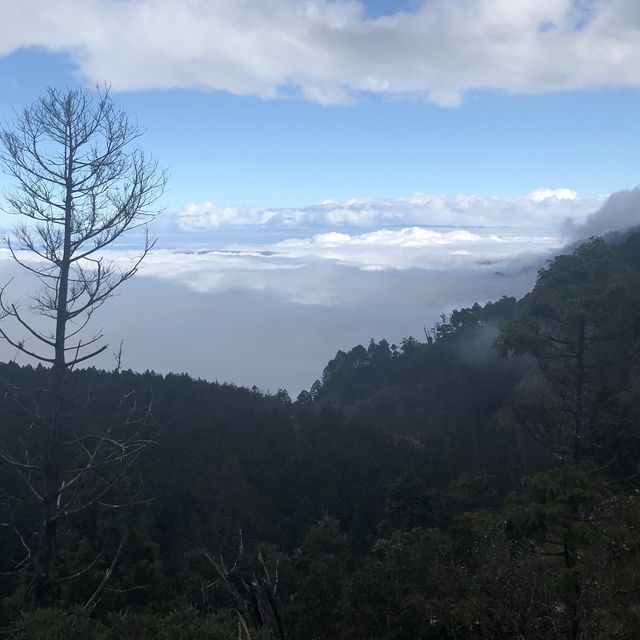 Yilan Taipingshan - bathing in the cloud