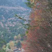 万座温泉・牛池の紅葉