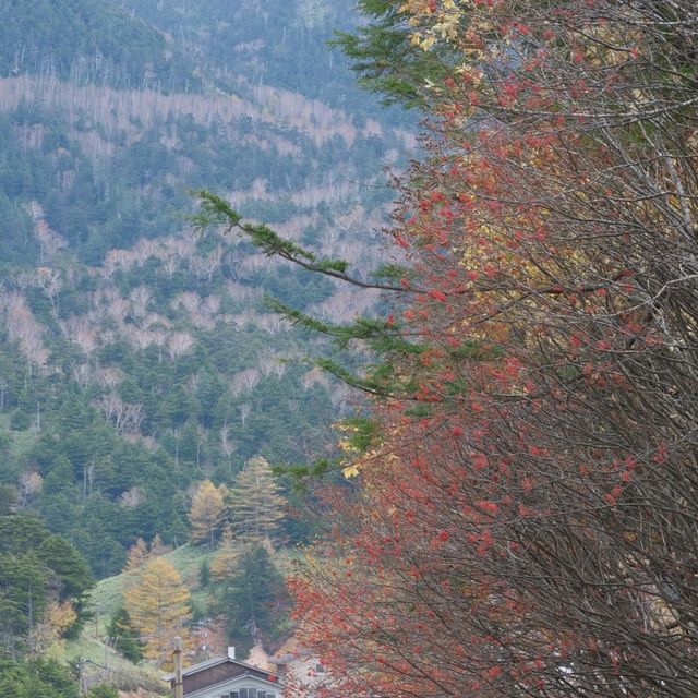 万座温泉・牛池の紅葉