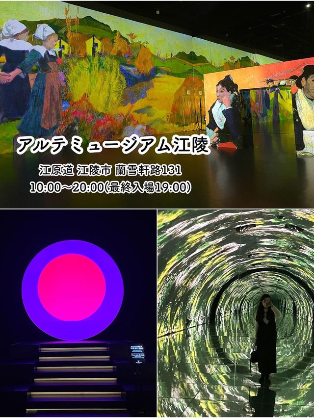 【江原道・江陵】映え写真撮るならここ！アルテミュージアム江陵