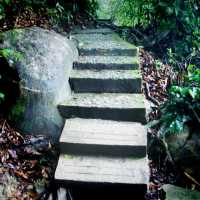 Hiking At Penang National Park