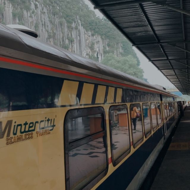 Trip Jungle Train In Malaysia 