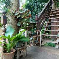 เพมาคาเฟ่ที่แม่แจ่ม