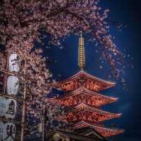 Moments at Senso-ji Temple, Tokyo, Japan