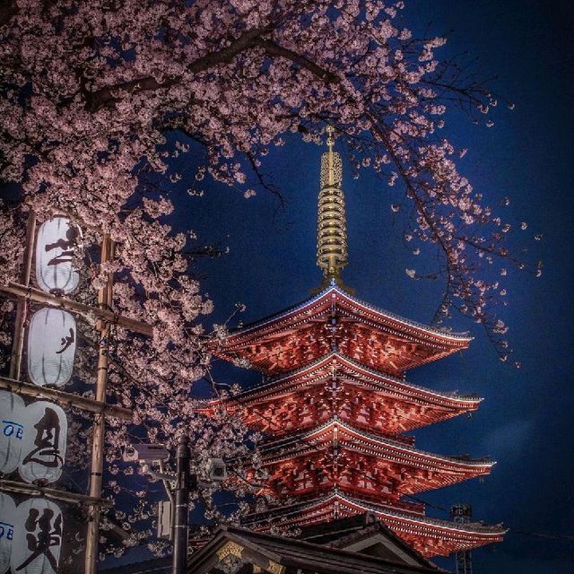 Moments at Senso-ji Temple, Tokyo, Japan