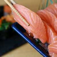 BAKA BAKA Sushi 🍣