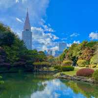 紅葉の新宿御苑・日本庭園