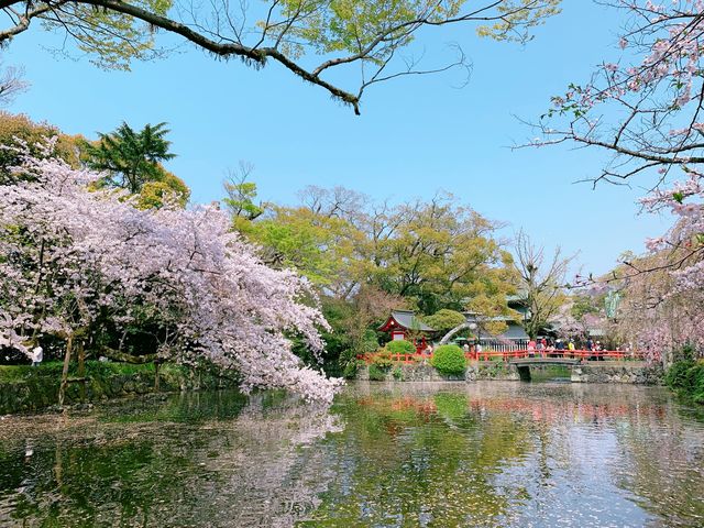 さくらひらひら