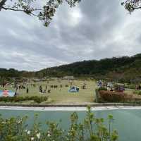 佐敦谷公園