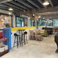 【台灣桃園 Zoo Zoo Cafe】 懷舊美式公路咖啡廳