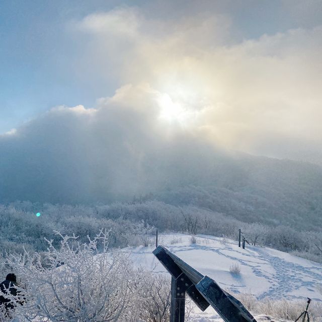 눈꽃산행