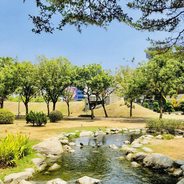 超大綠地公園🟢設計壯觀場面📍高雄中央公園站