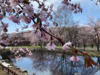 雪と桜舞い散る春の『網走監獄博物館』