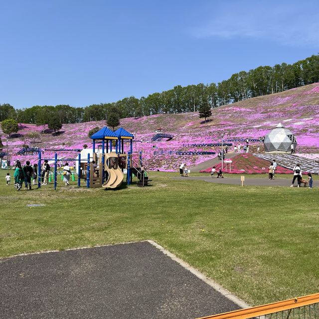 東藻琴の芝桜公園へ