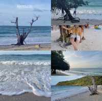 รีวิวเกาะล้านฉบับคนมีเวลาน้อย🌊🏝 #20ชั่วโมงบนเกาะ