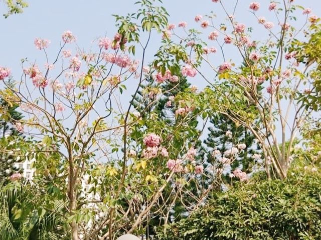 蝴蝶灣公園