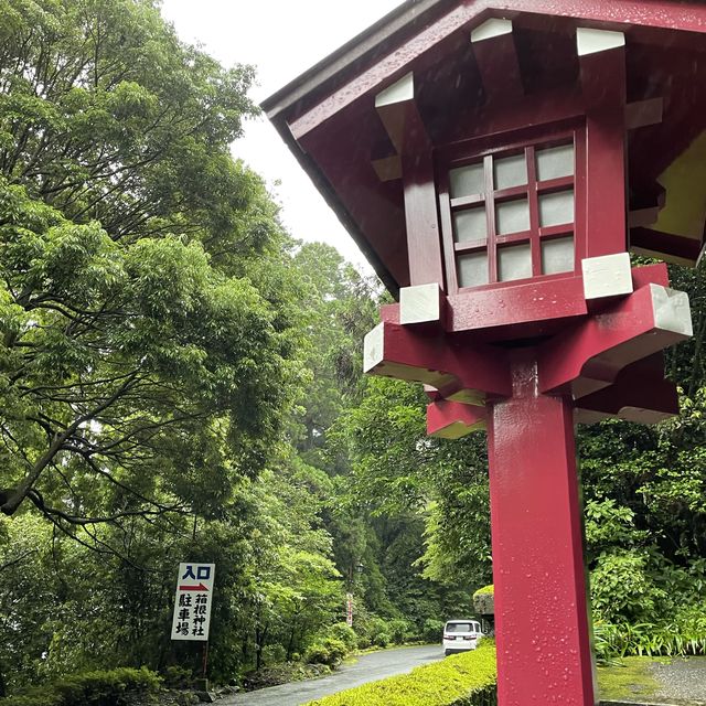 雨の中でも神々く紫陽花も綺麗な箱根神社