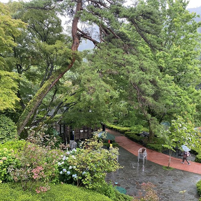 【東京・奥多摩】澤乃井園