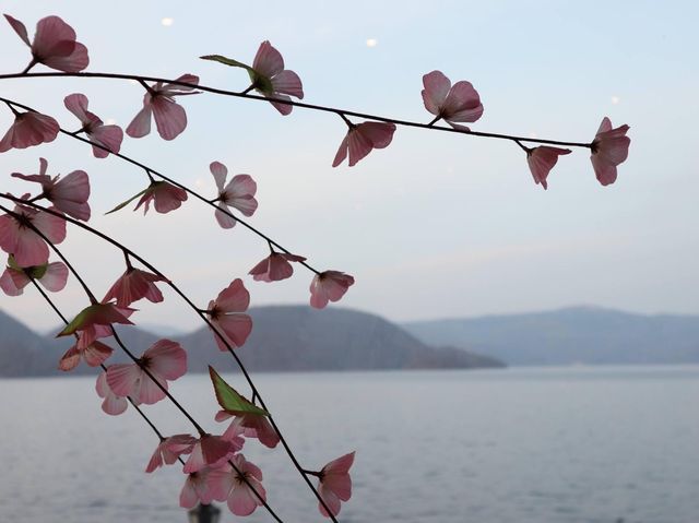 【北海道住宿】每晚Bingo遊戲～花火大會～一泊二食溫泉酒店