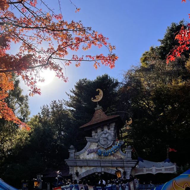 韓国【エバーランド】テーマパークで愉しむ韓国の秋🍁
