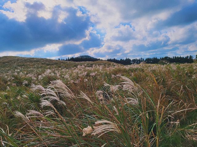제주도에서 즐기는 🍁 레일바이크