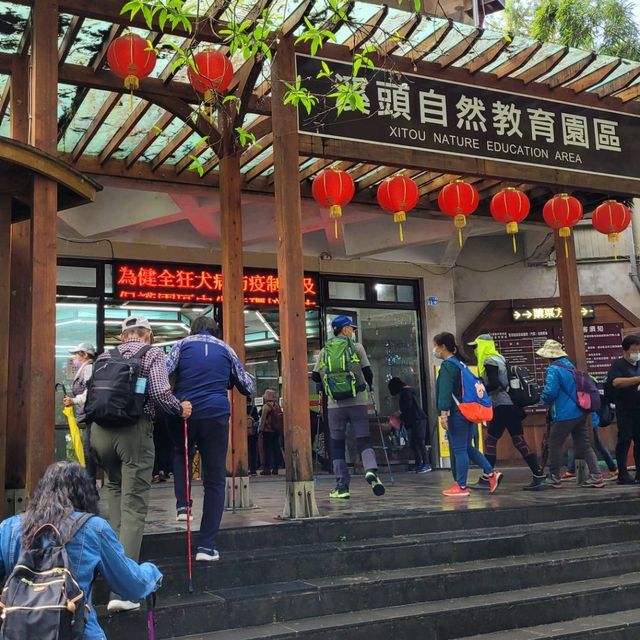 溪頭 