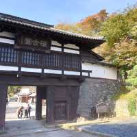 【長野・小諸】小諸城址懐古園
