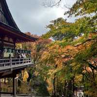 【奈良】歴史ある神社に美しい紅葉