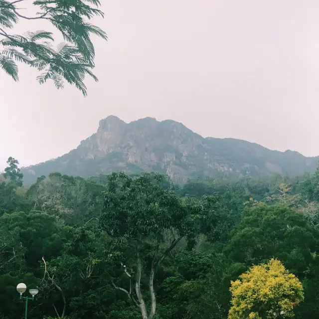 Lion Rock 🦁 🪨 - Landmark hiking spot