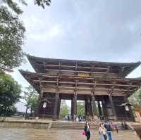 三年啦，餓親你哋啦！