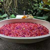 Spa in middle of Nature 