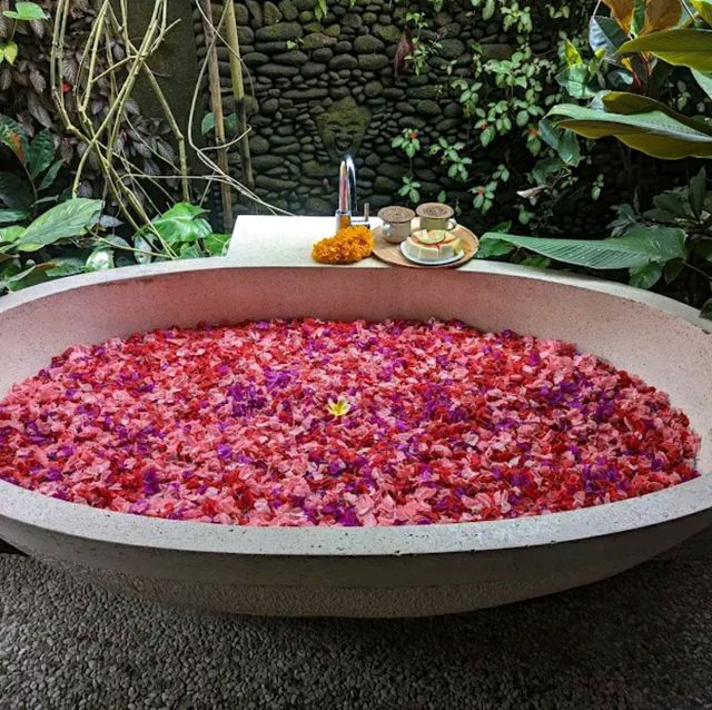 Spa in middle of Nature 