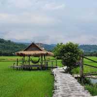 สะพานทุ่งนาน้อยเขาหล่น
