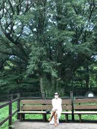 비오는 날 제주에서 비자림🌳 어때유?