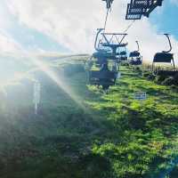 【伊東】大室山