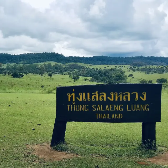 ลานกางเต็นท์หลักสิบ วิวระดับล้าน