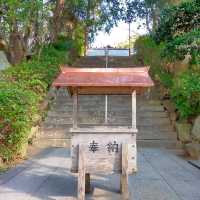 【淡路島 南あわじ】✨⛩️日本の神々誕生の聖地⛩️✨