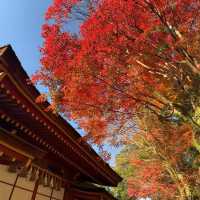 福岡必去祈求考運亨通｜太宰府天滿宮