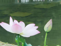 城門谷公園