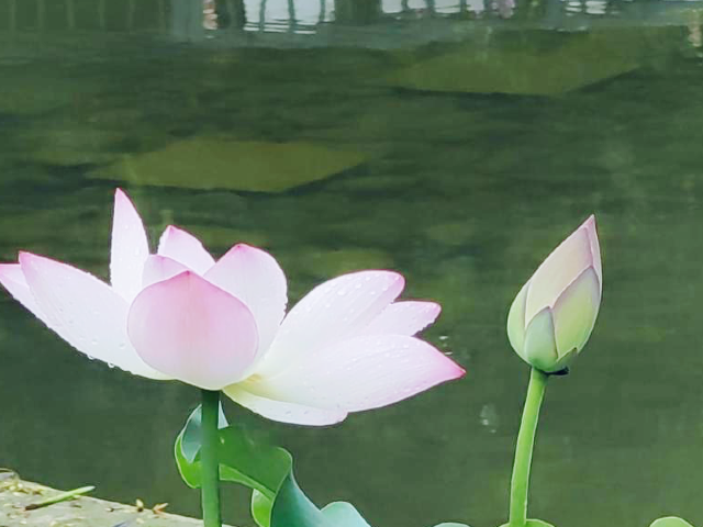 城門谷公園