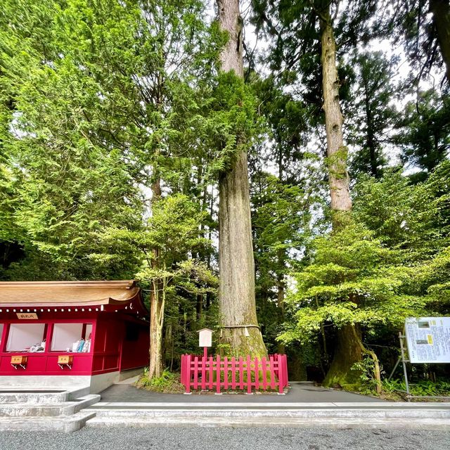 守護神　九頭龍大神〜九頭龍神社　新宮〜