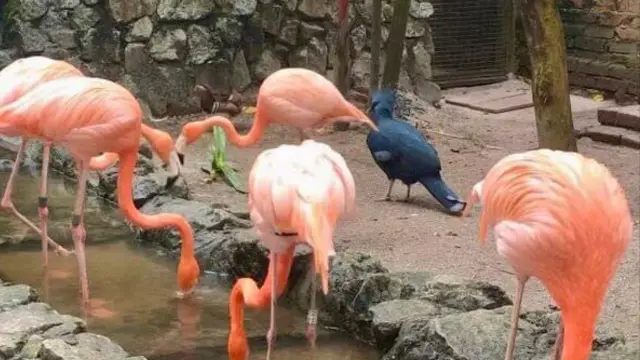 Great time to visit Bird park 