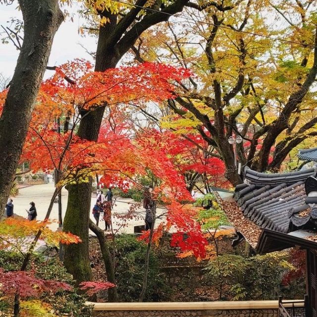 Autumn Foliage at Gilsang Temple