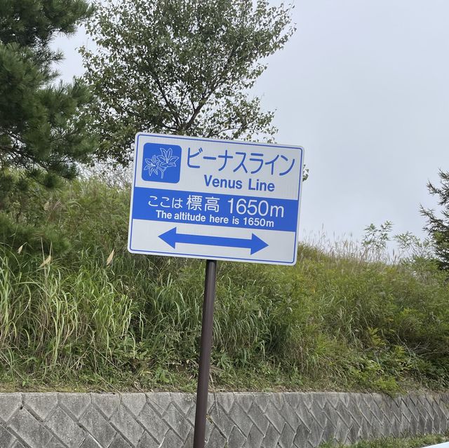 【長野県】北佐久郡立科町　牛乳専科　もうもう🥛