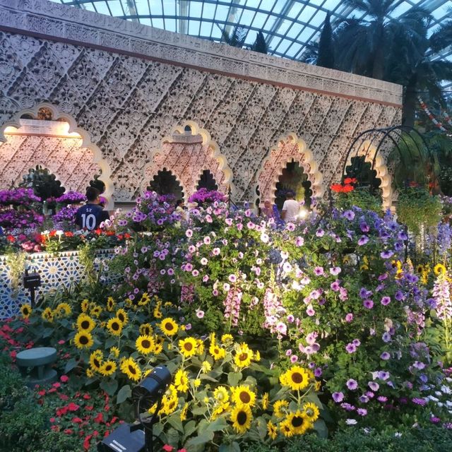 A Spanish Serenade with Sunflowers