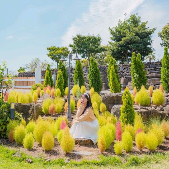 ⛰️가을이 가득히 피어난 아름다운정원 [제주, 마노르블랑]