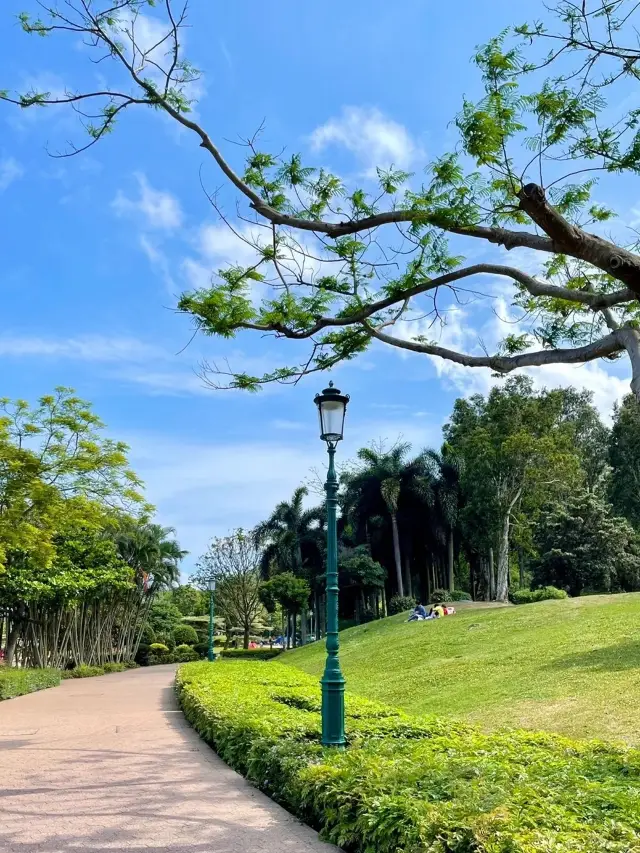 香港好去處 迪欣湖