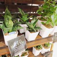 💐🪴發現美好UNIQLO Miramar Store UNIQLO 美麗華店🍀🌵