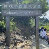 親子行山好去處👣 烏絞騰->三亞村->荔枝窩